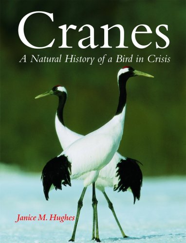 Cranes: A Natural History of a Bird in Crisis