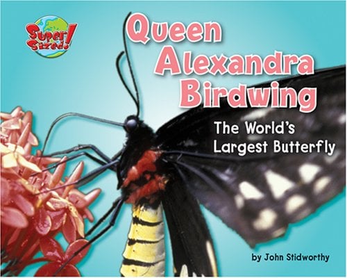 Queen Alexandra's Birdwing: The World's Largest Butterfly (Super Sized!)