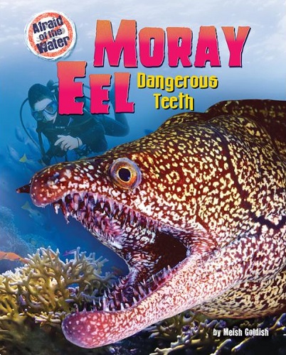 Moray Eel: Dangerous Teeth (Afraid of the Water)