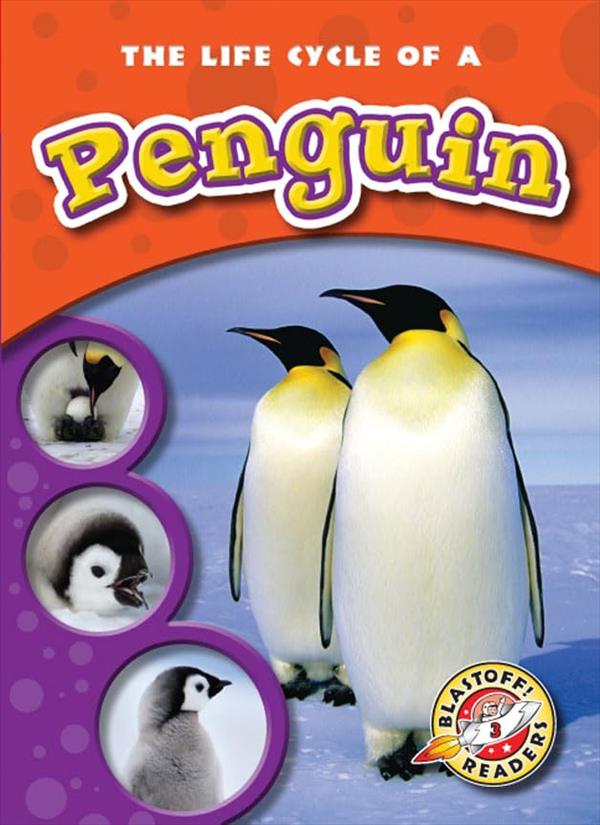 The Life Cycle of a Penguin (Life Cycle, Blastoff! Readers, Level 3)