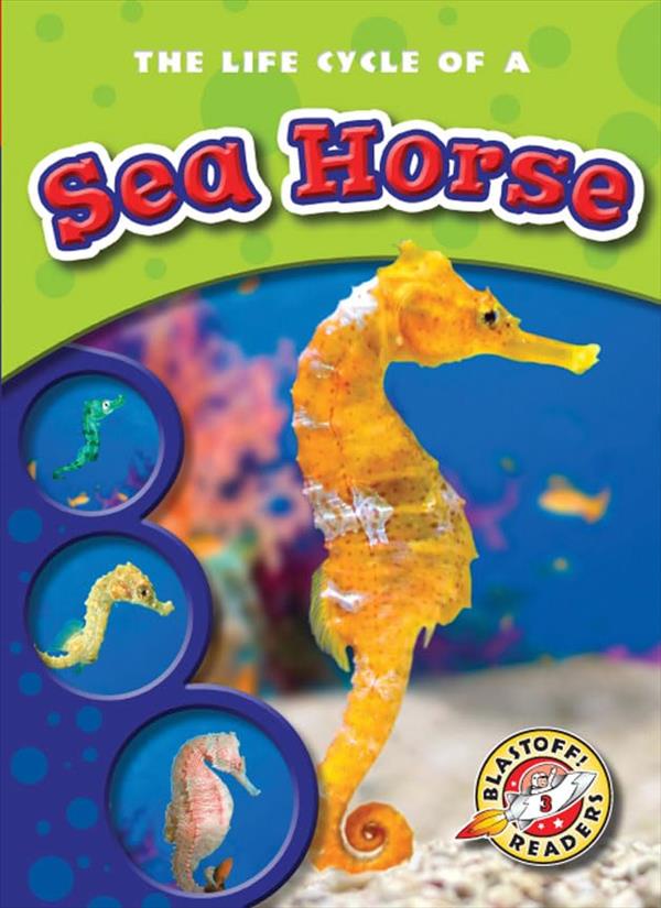 The Life Cycle of a Sea Horse (Life Cycles, Blastoff! Readers, Level 3)