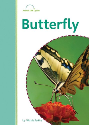 Butterfly (Animal Life Cycles, Amicus Readers, Level 2)