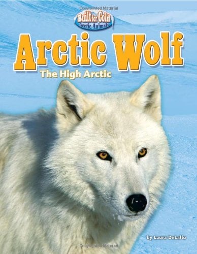 Arctic Wolf: The High Arctic (Built for the Cold: Arctic Animals)