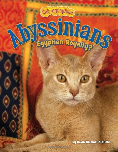 Abyssinians: Egyptian Royalty? (Cat-Ographies)