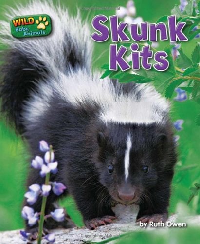 Skunk Kits (Wild Baby Animals)