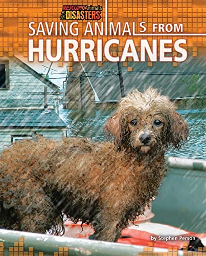 Saving Animals From Hurricanes (Rescuing Animals From Disasters)