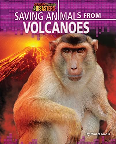 Saving Animals From Volcanoes (Rescuing Animals From Disasters)