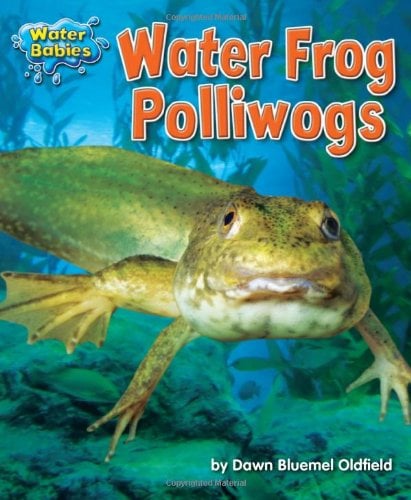 Water Frog Polliwogs (Water Babies)