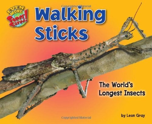 Walking Sticks: The World’s Longest Insects (Even More Supersized!)