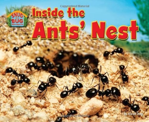 Inside the Ants' Nest (Snug as a Bug: Where Bugs Live)