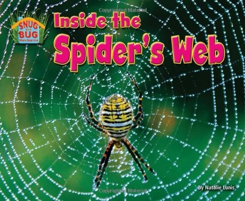 Inside the Spider’s Web (Snug As a Bug: Where Bugs Live)