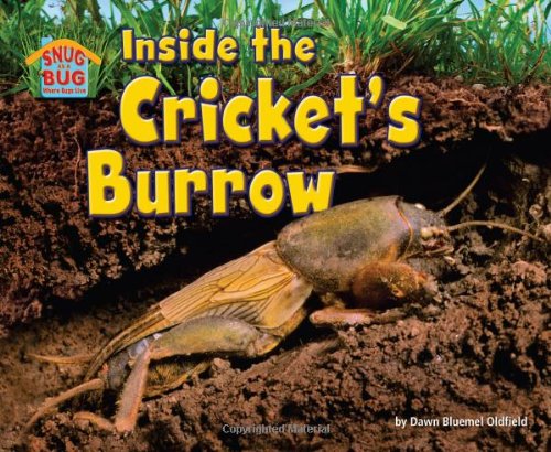 Inside the Cricket’s Burrow (Snug As a Bug: Where Bugs Live)