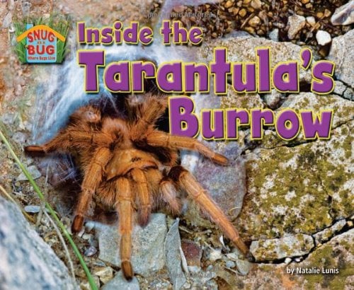 Inside the Tarantula’s Burrow (Snug as a Bug: Where Bugs Live)