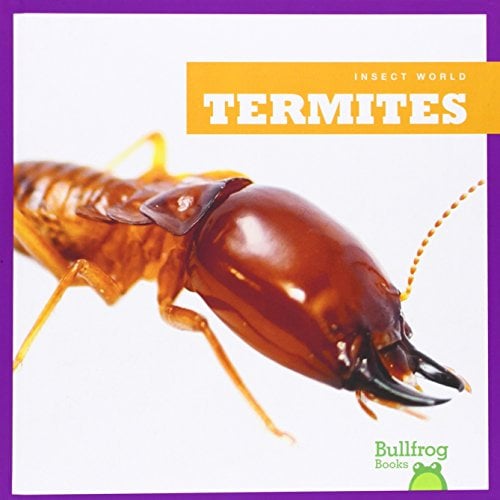Termites (Bullfrog Books, Insect World)
