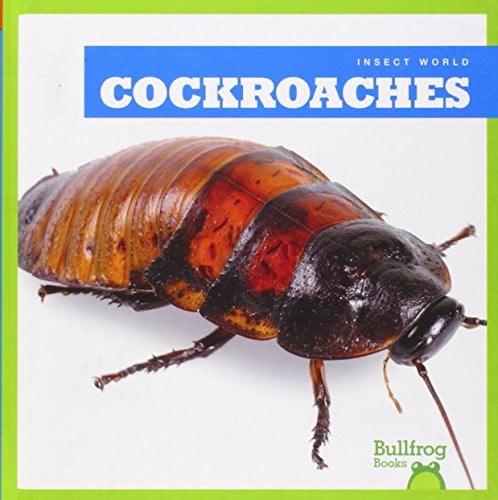 Cockroaches (Bullfrog Books, Insect World)