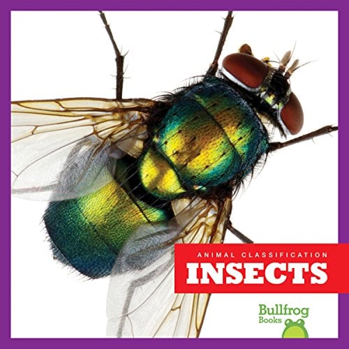 Insects (Bullfrog Books, Animal Classification)