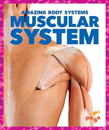 Muscular System (Pogo Books, Amazing Body Systems)