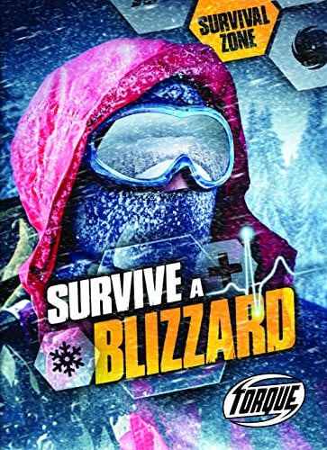 Survive a Blizzard (Survival Zone)