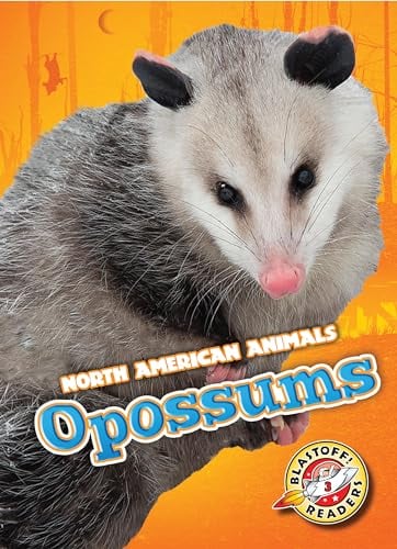 Opossums (North American Animals, Blastoff! Readers, Level 3)