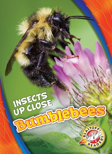 Bumblebees (Insects Up Close, Blastoff! Readers)