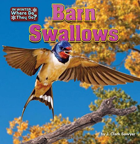 Barn Swallows (In Winter, Where Do They Go? Little Bits! Readers)