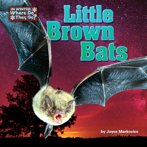 Little Brown Bats (In Winter, Where Do They Go? Little Bits! Readers)