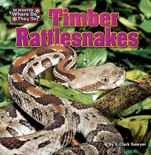 Timber Rattlesnakes (In Winter, Where Do They Go? Little Bits! Readers)