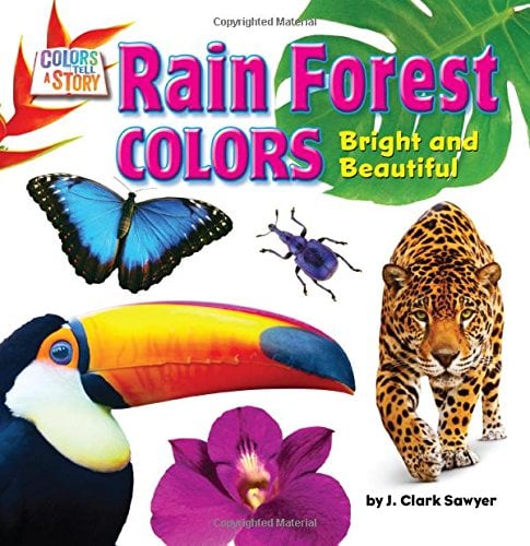 Rain Forest Colors: Bright and Beautiful (Colors Tella Story, Little Bits! Readers)