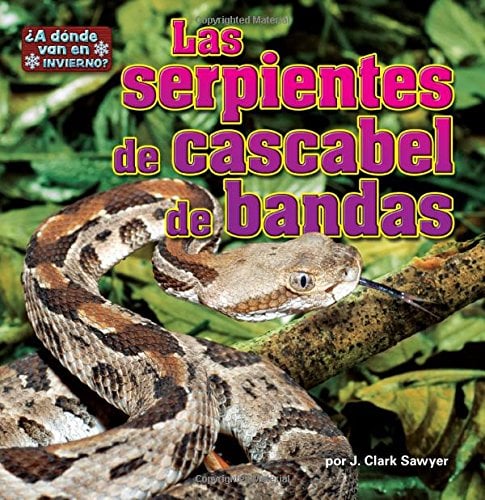 Las Serpientes de Cascabel de Bandas (¿A Donde Van en Invierno? Pedacitos, Lectores)