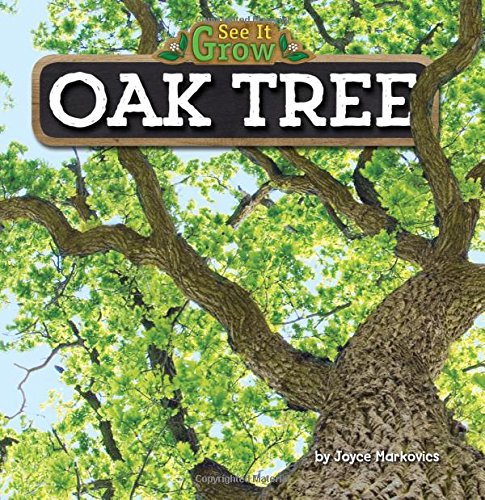 Oak Tree (See It Grow)