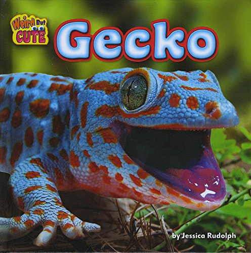 Gecko (Weird but Cute, Little Bits! Readers)