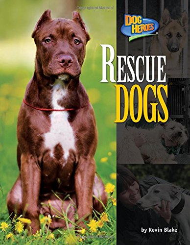 Rescue Dogs (Dog Heroes)
