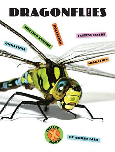 Dragonflies (X-Books: Insects)