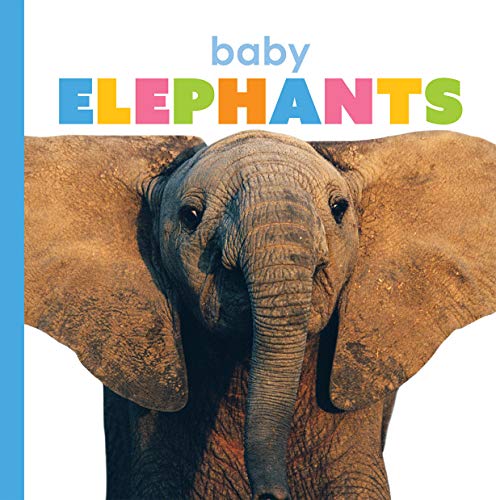 Baby Elephants (Starting Out)