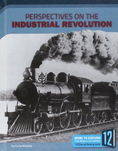 Perspectives on the Industrial Revolution (Perspectives on US History)