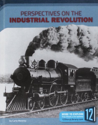 Perspectives on the Industrial Revolution (Perspectives on US History)
