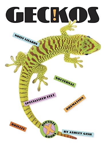 Geckos (X-Books: Reptiles)
