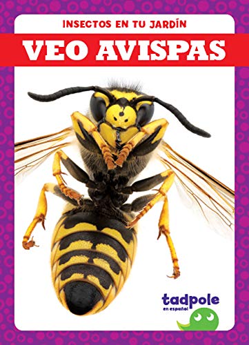Veo Avispas (Tadpole Books, Insectos en Tu Jardin)