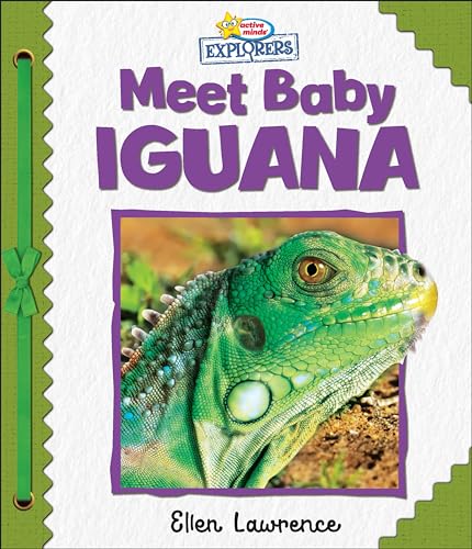 Meet Baby Iguana (Active Minds Explorers)