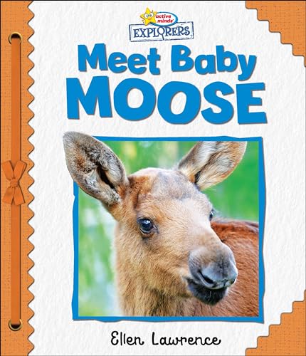 Meet Baby Moose (Active Minds Explorers)