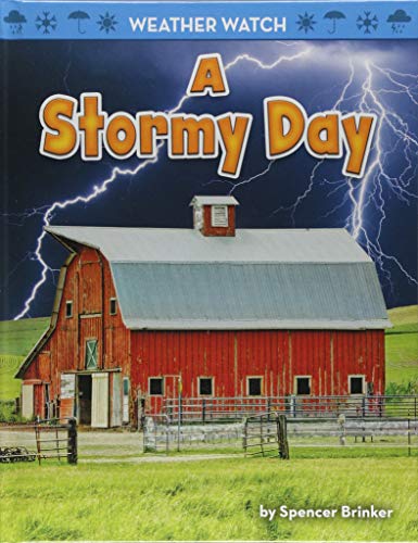 A Stormy Day (Weather Watch)
