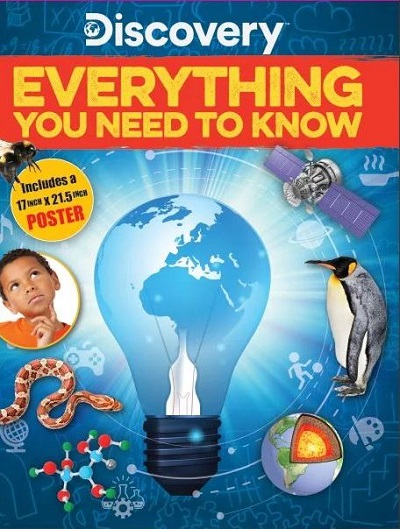 Everything You Need to Know (Discovery)