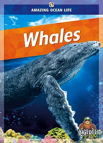 Whales (Amazing Ocean Life)