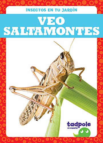 Veo Saltamontes (Tadpole, Insectos En Tu Jardin)