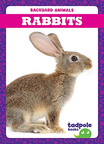 Rabbits (Tadpole Books, Backyard Animals)