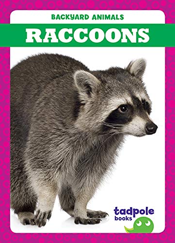 Raccoons (Tadpole Books, Backyard Animals)