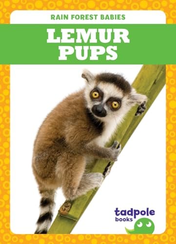 Lemur Pups (Tadpole Books, Rain Forest Babies)
