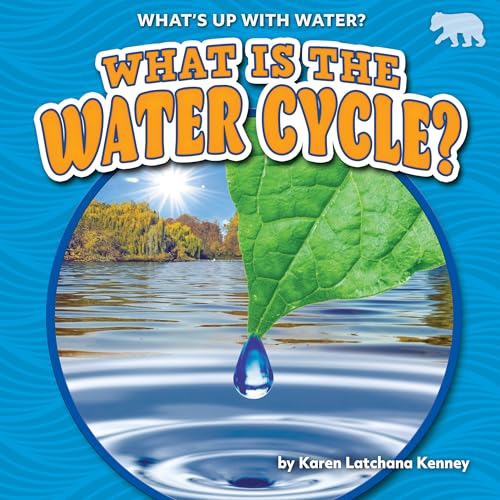 What Is the Water Cycle? (What's Up With Water?)