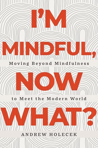 I'm Mindful, Now What? Moving Beyond Mindfulness to Meet the Modern World