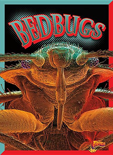 Bedbugs (Awful, Disgusting Parasites)